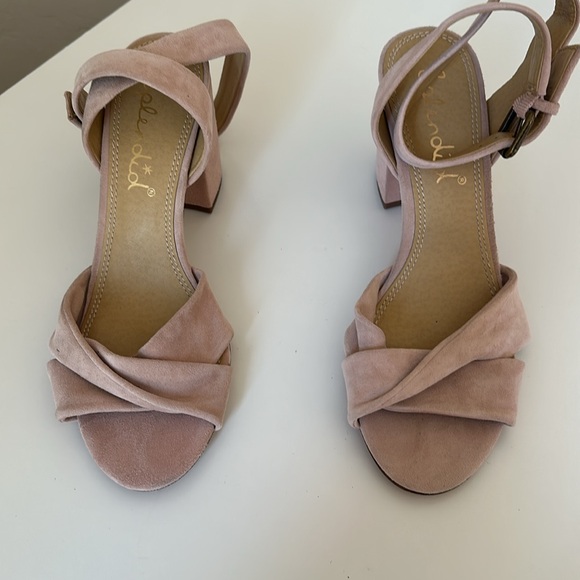 Splendid - Picture 8 of 11